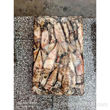 Squid Frozen Stenesoteuthis Oualaniensis 100-300G